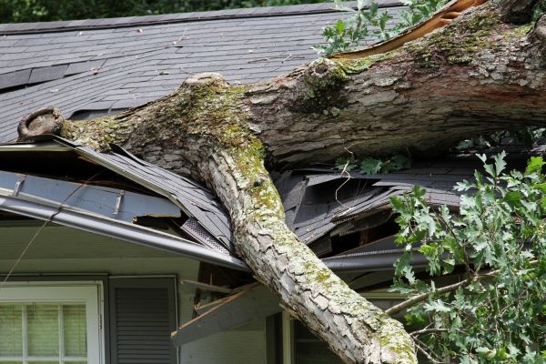 Cost of Storm Remediation in White Lake