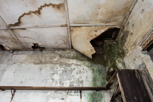 Cost of Water Damage Service in White Lake