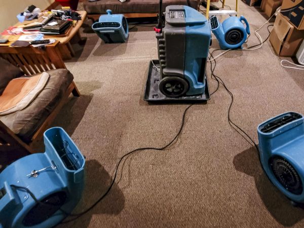 Cost of Flood Damage Recovery in White Lake