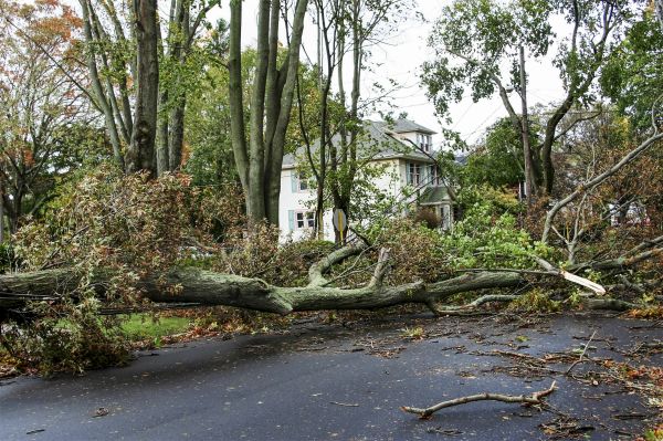 Cost of Tornado Damage Repair in White Lake