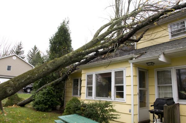Cost of Storm Damage Mitigation in White Lake